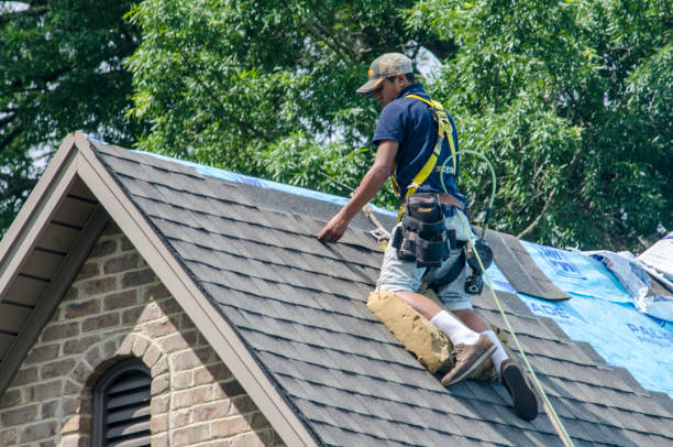 Best Roof Gutter Cleaning  in Kingstowne, VA